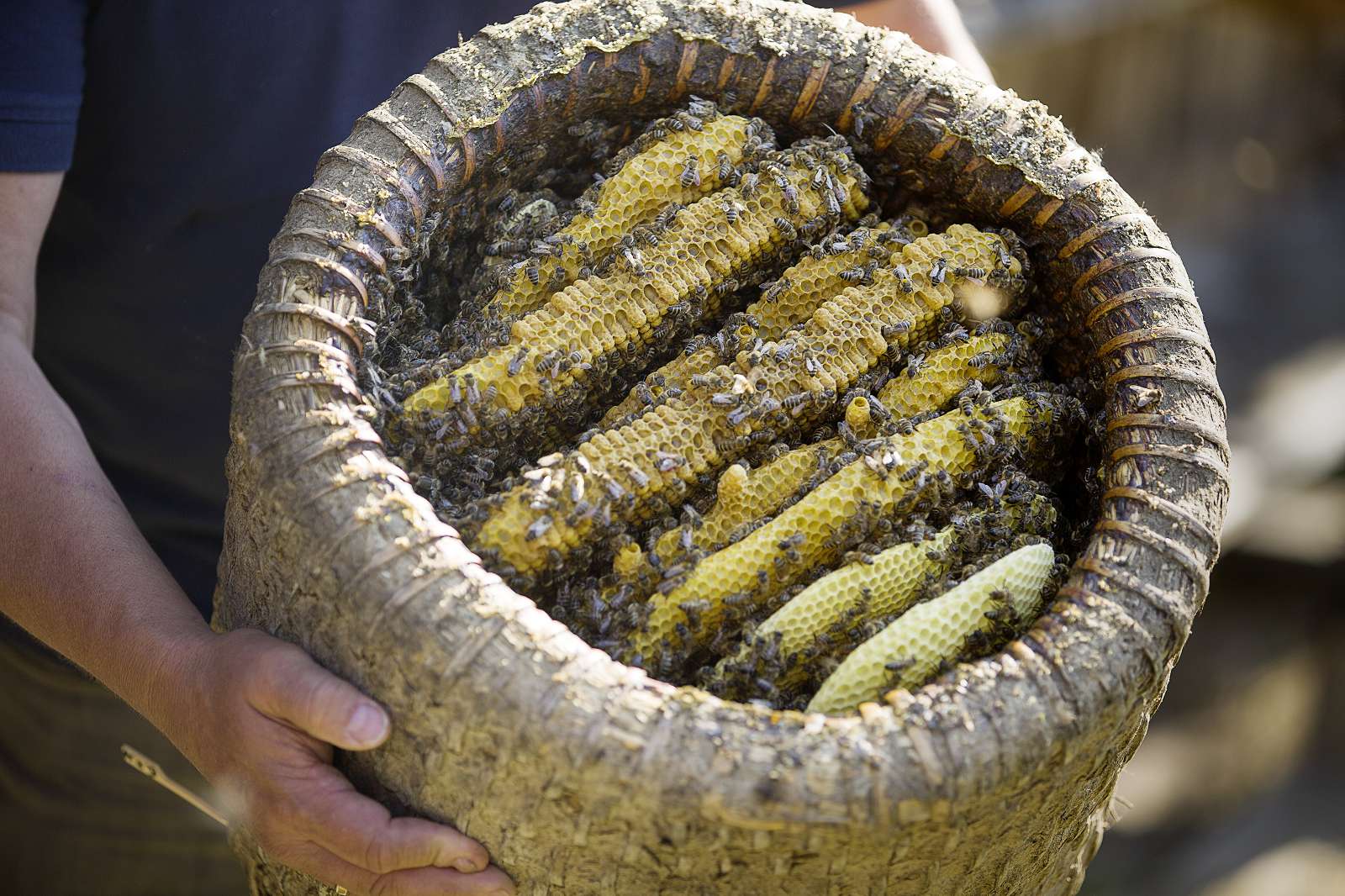 Corporate Fotografie | Marc Dietenmeier fotografiert für WM-Bienenwachs